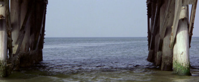 Into The Estuary