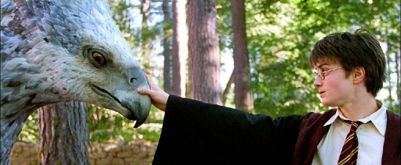 Buckbeak l'hippogriffe face à Harry Potter