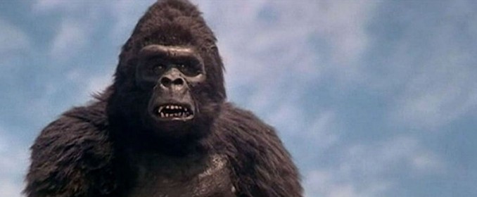 Kong lui-même se demande s'il n'aurait pas mieux valu trépasser plutôt que de subir ce terrible nanar...