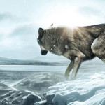 Wolf Totem (James Horner) Horner danse avec le Dernier Loup