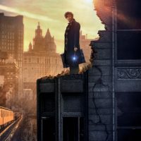 Agenda des sorties : Novembre 2016 Toutes les sorties du mois en un seul coup d’oeil