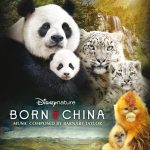 Born In China (Barnaby Taylor) UnderScorama : Mai 2017