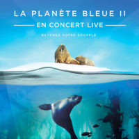 Blue Planet II en ciné-concert à Paris-Bercy en mars La musique du trio Zimmer-Shea-Fleming retentira en 2020 dans l'enceinte de l'AccorHotels Arena