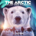 Arctic: Our Last Great Wilderness (The) (Alex Heffes) UnderScorama : Septembre 2021